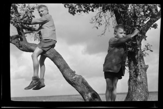 Dimitri et Nicolas Kousnetzoff perchés dans des arbres. 