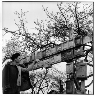 Photographie de Paul Almasy. Rangées de boites aux lettres dans le bidonville de Champigny.
